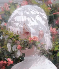 CROWNED Rentri