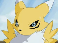 Renamon