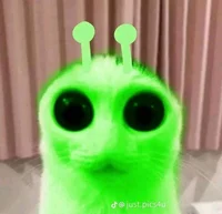alien kitten