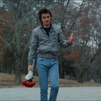 Steve Harrington 