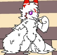 Red and yellow cat k