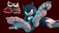 Sonic The Werehog