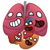 HUMAN BUDDY LETS GOO