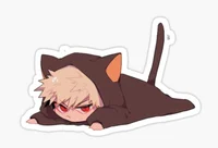 Cat bakugo