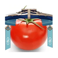 scaramouche tomato