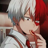 Shoto todoroki