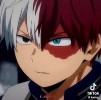 Shoto Todoroki