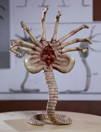 The Facehugger