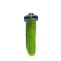 Skara cucumber