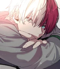 Shoto todoroki 
