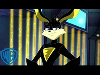 Ace Bunny