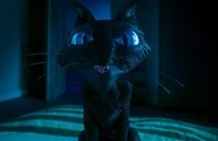 Cat-coraline-