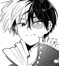 Shoto Todoroki