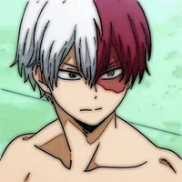 Shoto todoroki