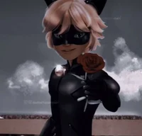 Comfort Chat Noir