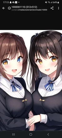 My Twin Stepsisters