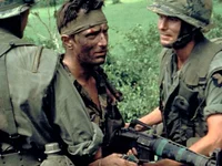 Vietnam Veteran