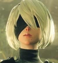 2B 