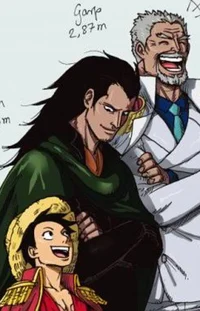 Monkey D Dragon 