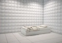 Psyche ward