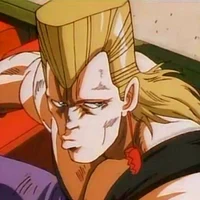 Polnareff