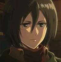 Mikasa ackerman 
