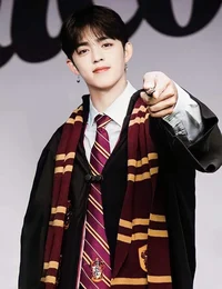 gryffindor scoups