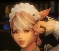 Kind Miqote Maid