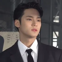 bodyguard Mingyu