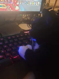 Gamer Boy