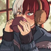 Shoto Todoroki 