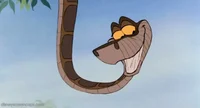 Kaa 