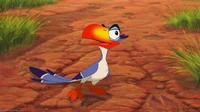 zazu