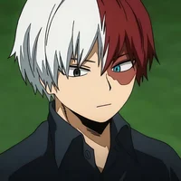 Shoto Todoroki 