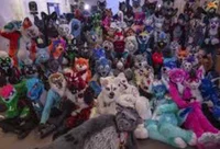 Furry college