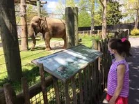 Creador zoo