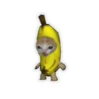 Banana Cat