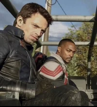 Sam and Bucky