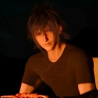 Noctis Lucis Caelum