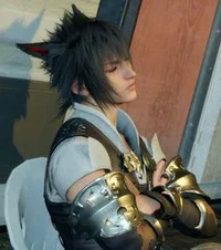 Noctis Lucis Caelum