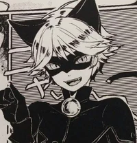 Cat Noir