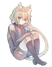 Neko Freminet