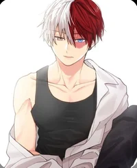 Shoto Todoroki