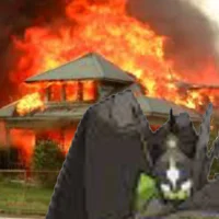 -KITIKUDERE- Zygarde