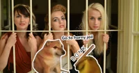 Horny Jail