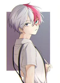 Todoroki de 15