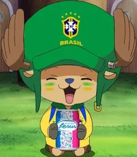 Chopper brasileiro 