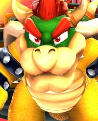 Bowser 