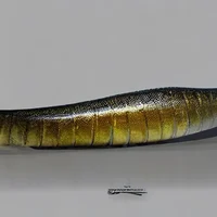 The Eel