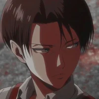 Levi Ackerman 